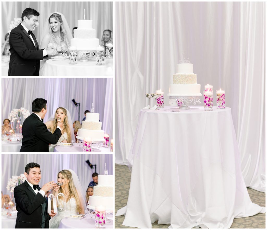 Atlanta_Georgia_Wedding_Photographer_Wedding Reception_Covid Wedding Ideas_Blog_Inspiration _Wedding Cake_2020 Wedding